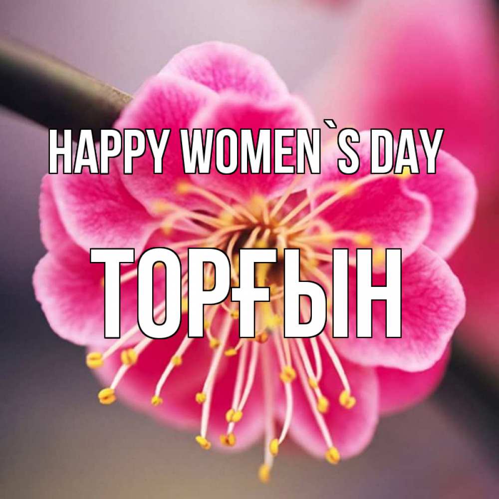 Greetings card с именем, ТОРҒЫН happy women`s day цветы Greetings with text for free download 